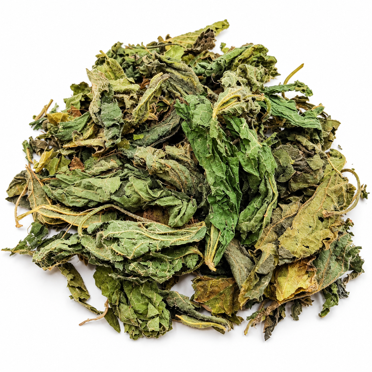 ORTICA FOGLIE 100GR