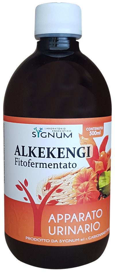 ALKEKENGI