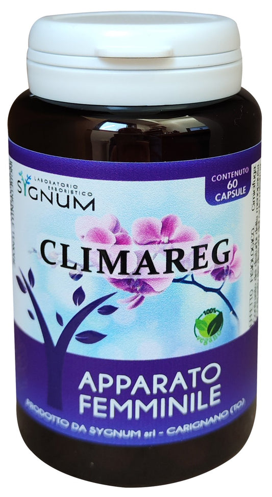 CLIMAREG 60CPS