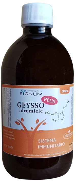 GEYSSO