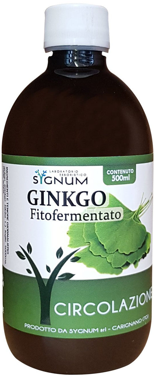 GINKO BILOBOA IDROMIELE