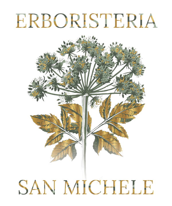 Erboristeria San Michele