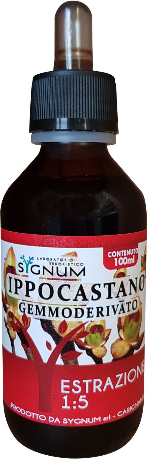 IPPOCASTANO GEMME