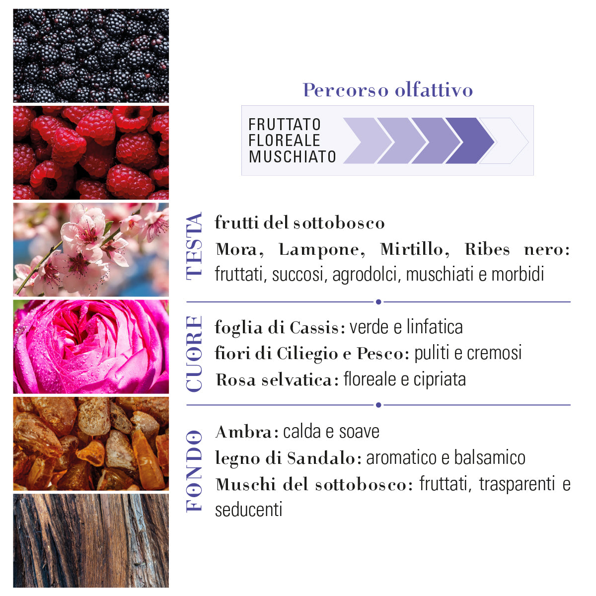 MORA MUSCHIO EAU DE PARFUM 50ML