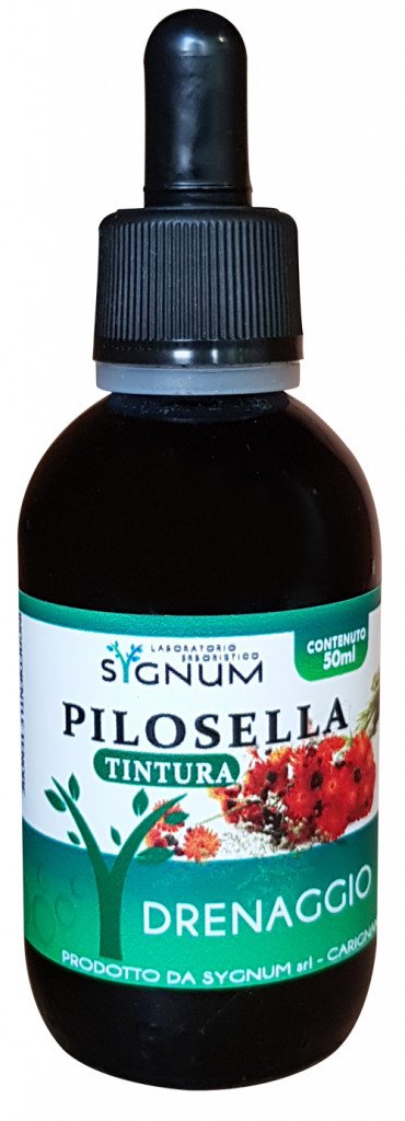 PILOSELLA TINTURA