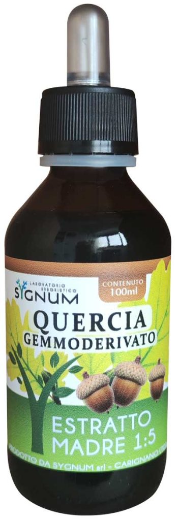 QUERCIA GEMME