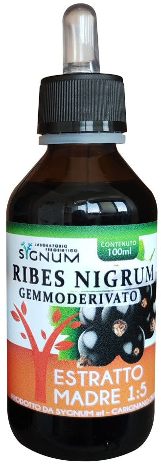 RIBES NIGRUM 100ML