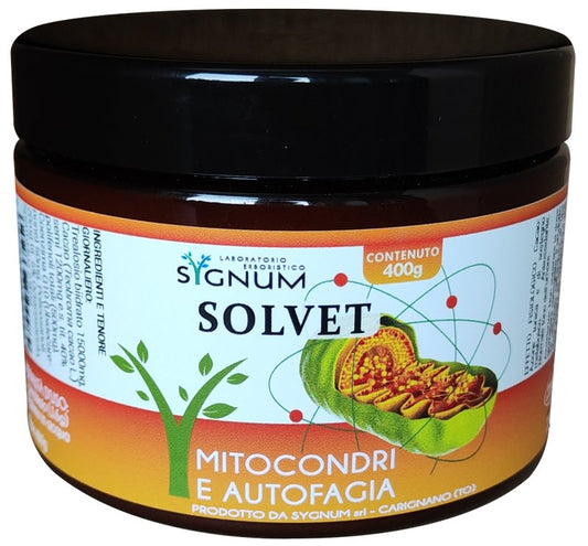 SOLVET POLVERE