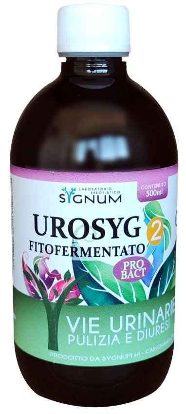 UROSYG 2 500ML