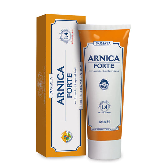 ARNICA FORTE POMATA 100ML