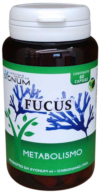 FUCUS 60CPS