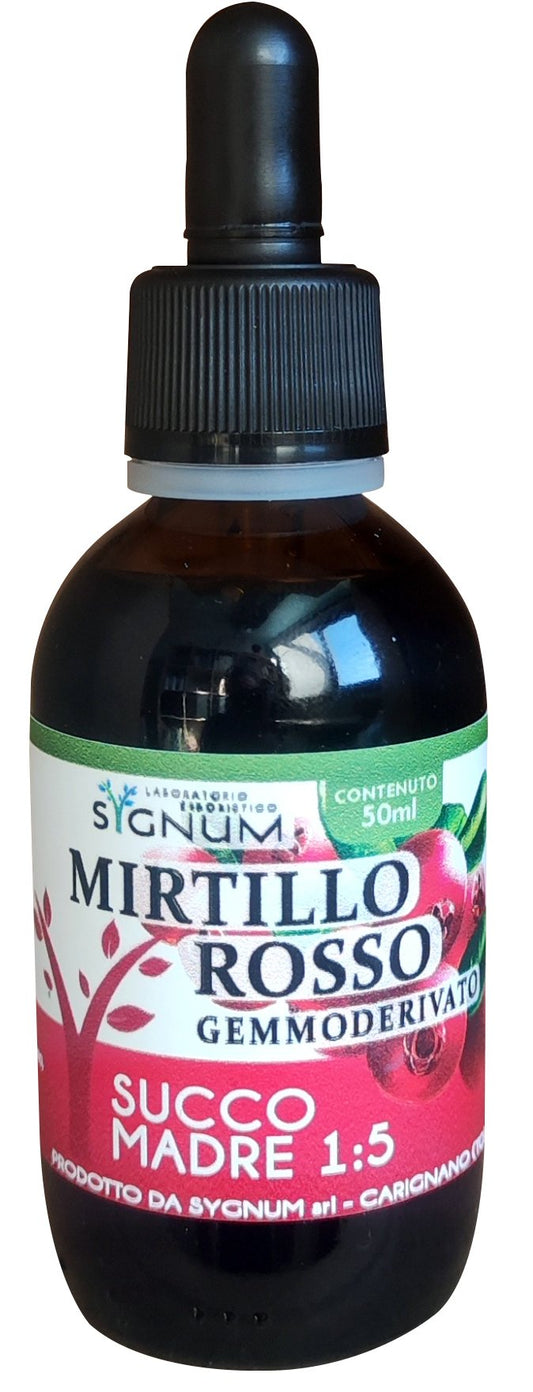 MIRTILLO ROSSO GEMME