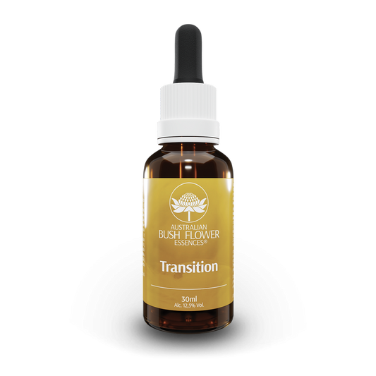 TRANSITION 30 ML